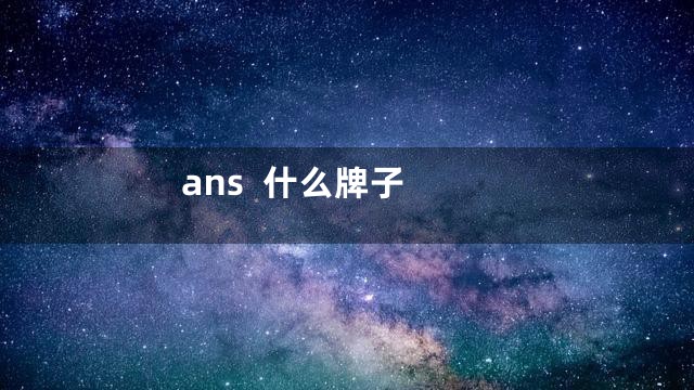 ans  什么牌子