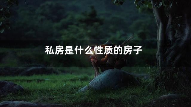 私房是什么性质的房子