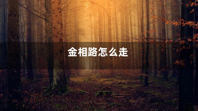 金相路怎么走