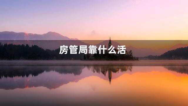 房管局靠什么活