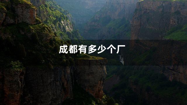 成都有多少个厂