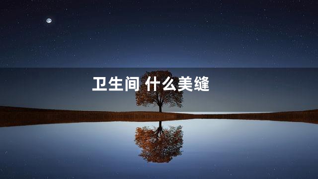 卫生间 什么美缝