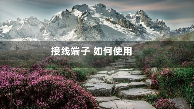 接线端子 如何使用