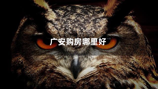 广安购房哪里好