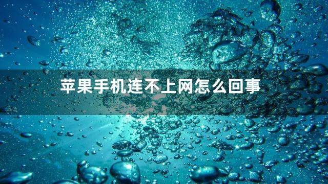 苹果手机连不上网怎么回事