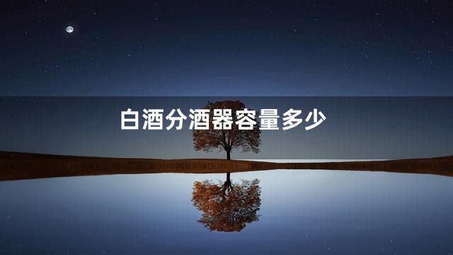 白酒分酒器容量多少