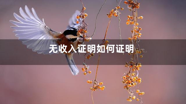 无收入证明如何证明