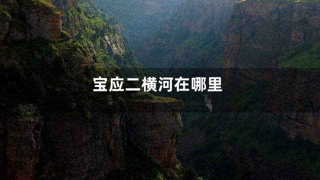 宝应二横河在哪里