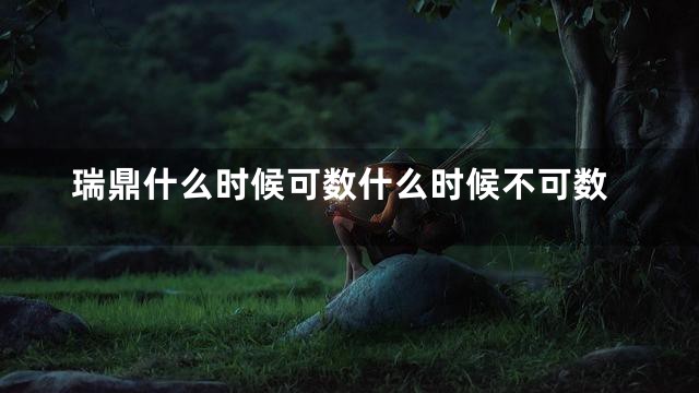 瑞鼎什么时候可数什么时候不可数