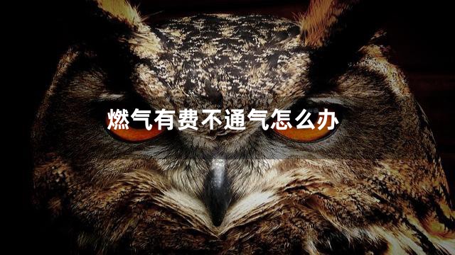 燃气有费不通气怎么办