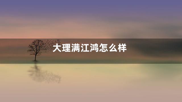 大理满江鸿怎么样