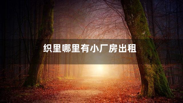 织里哪里有小厂房出租