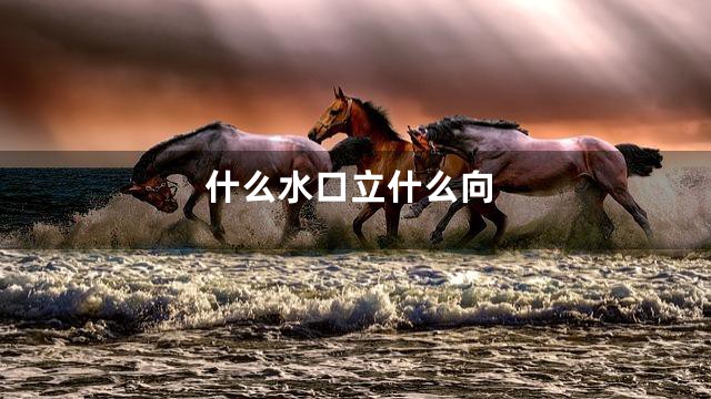 什么水口立什么向