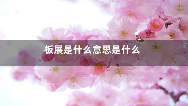 板展是什么意思是什么