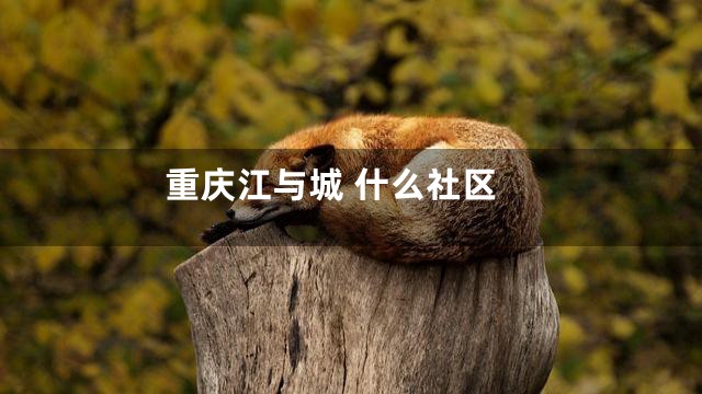 重庆江与城 什么社区