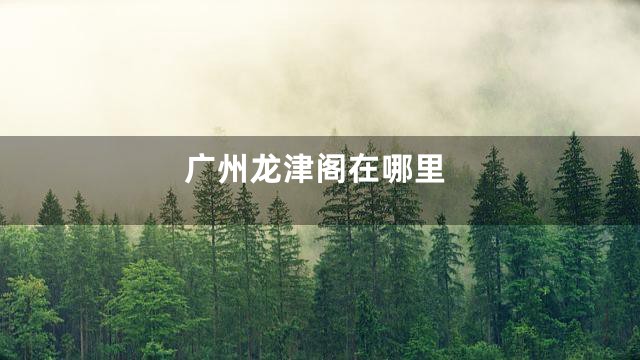 广州龙津阁在哪里