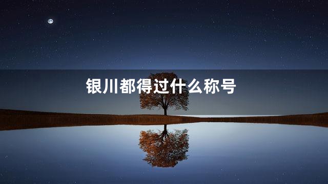 银川都得过什么称号