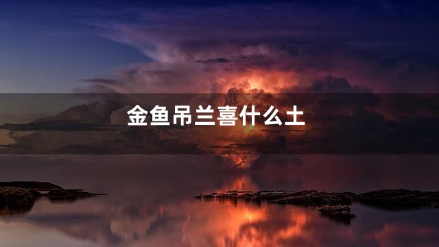 金鱼吊兰喜什么土