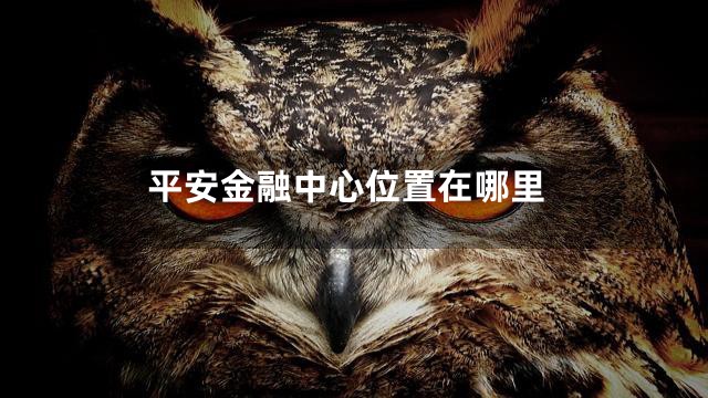 平安金融中心位置在哪里