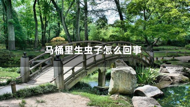 马桶里生虫子怎么回事