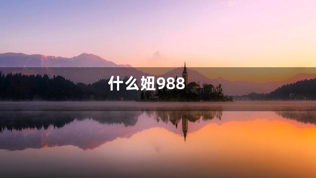 什么妞988