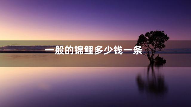 一般的锦鲤多少钱一条