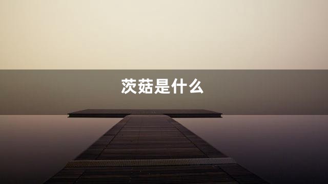 茨菇是什么