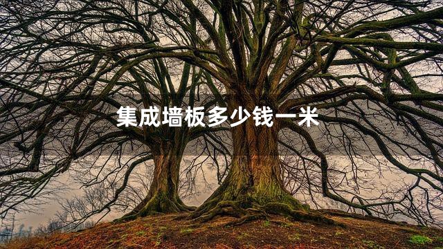 集成墙板多少钱一米