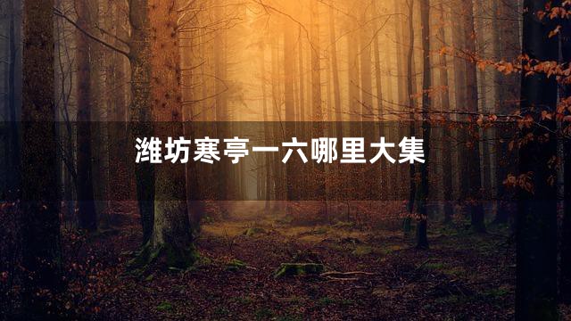 潍坊寒亭一六哪里大集