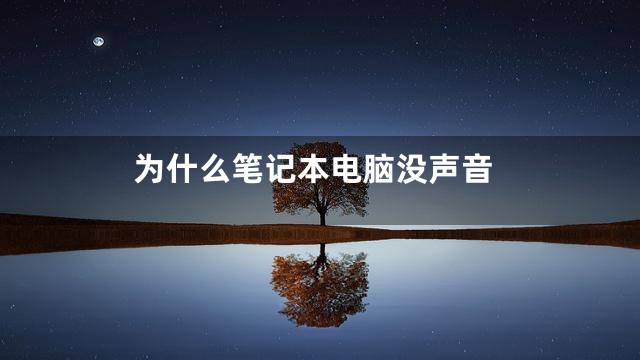 为什么笔记本电脑没声音