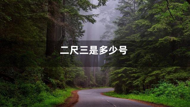 二尺三是多少号