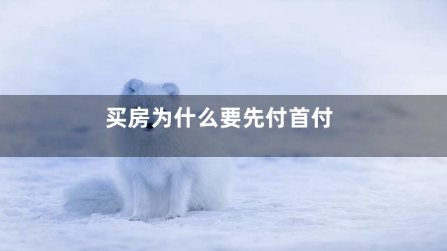 买房为什么要先付首付