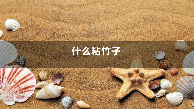 什么粘竹子