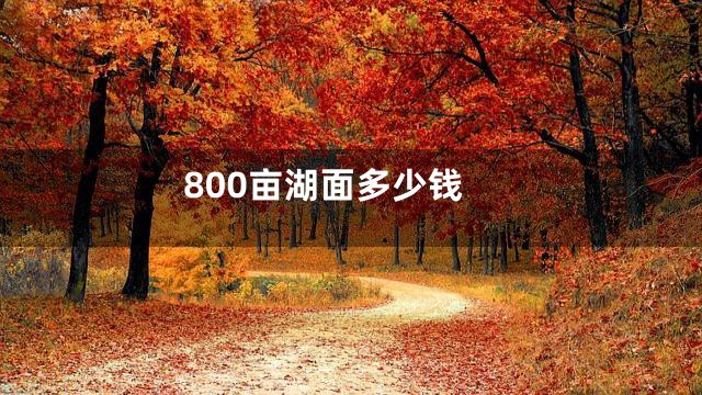 800亩湖面多少钱