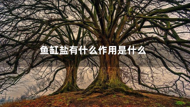 鱼缸盐有什么作用是什么