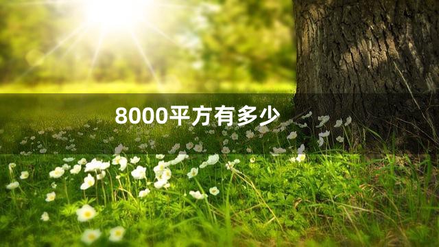 8000平方有多少