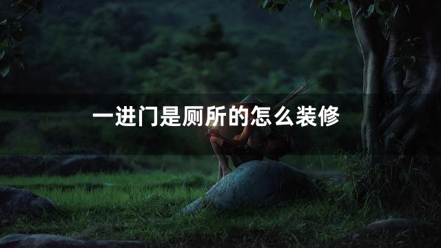 一进门是厕所的怎么装修