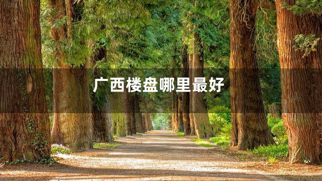 广西楼盘哪里最好
