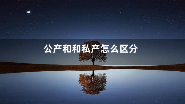 公产和和私产怎么区分