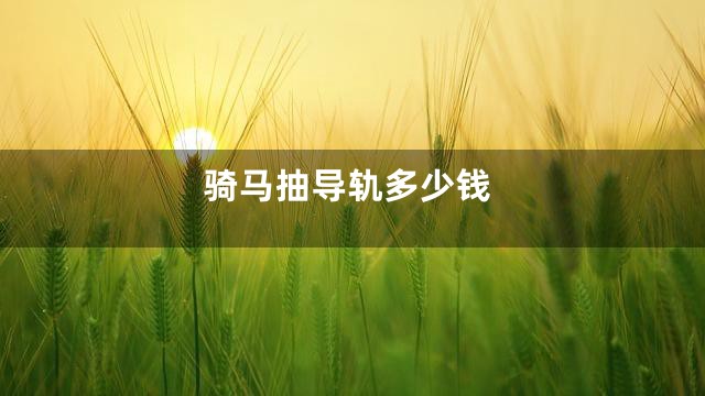 骑马抽导轨多少钱