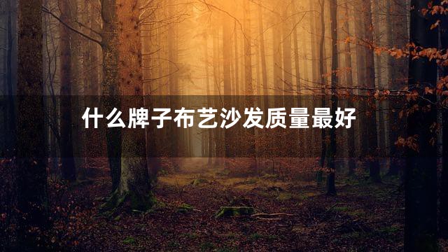 什么牌子布艺沙发质量最好