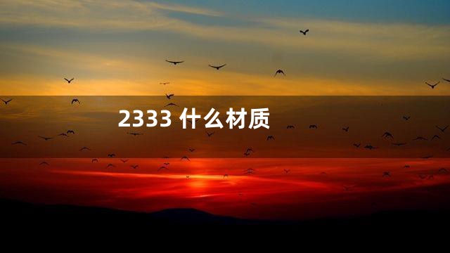 2333 什么材质