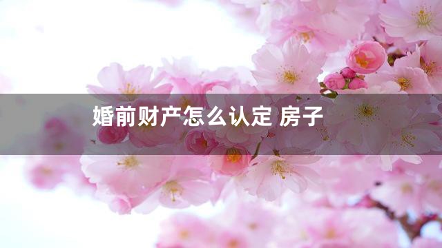 婚前财产怎么认定 房子