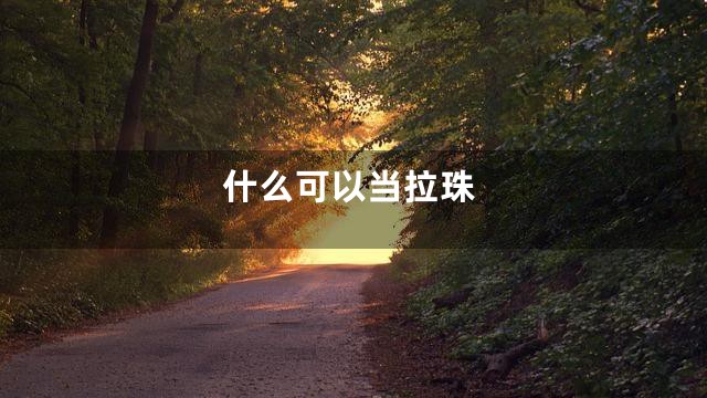 什么可以当拉珠