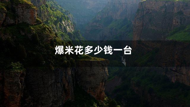 爆米花多少钱一台