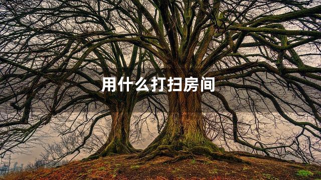 用什么打扫房间