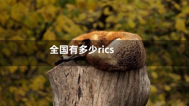 全国有多少rics