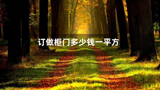 订做柜门多少钱一平方