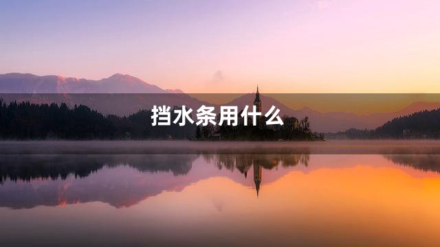 挡水条用什么