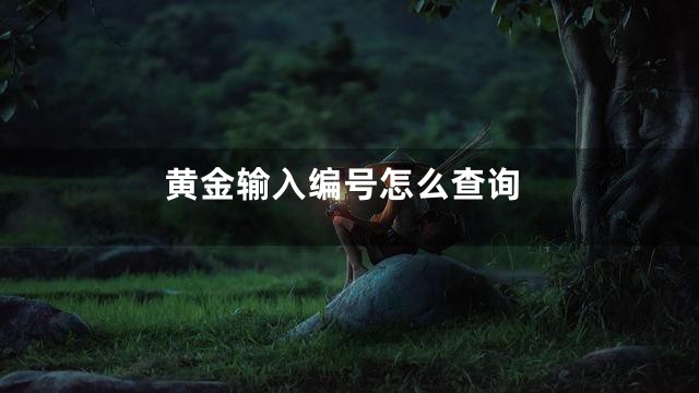 黄金输入编号怎么查询